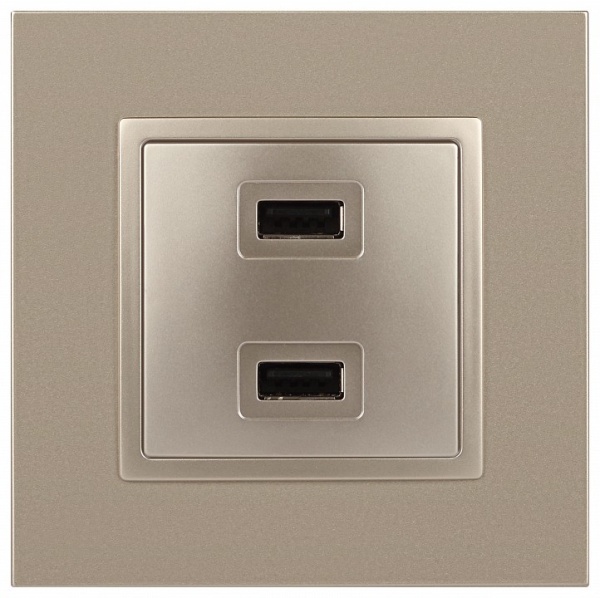 Розетка 2хUSB type A без рамки Эра Эра Elegance 14-4110-04