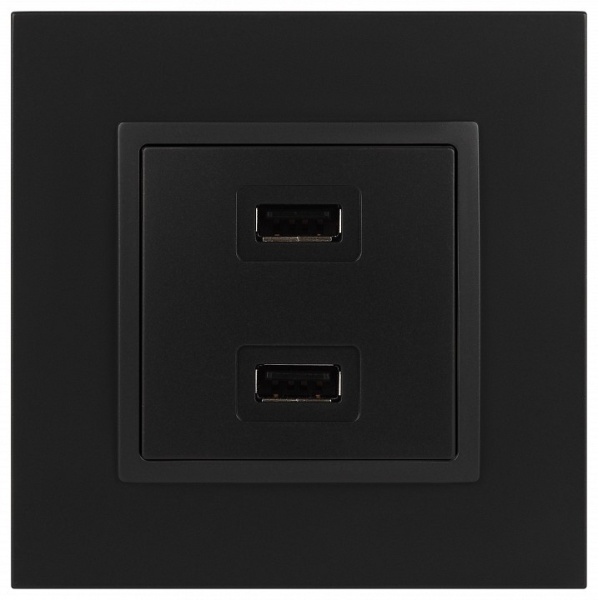Розетка 2хUSB type A без рамки Эра Эра Elegance 14-4110-05
